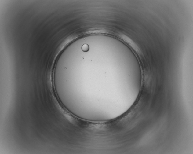 X0000113071282200909041050