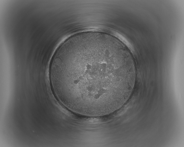 X0000113071283200909041050