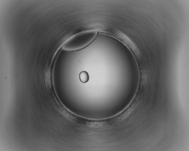 X0000113071284200909041050