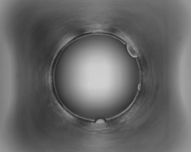 X0000113071285200909041050