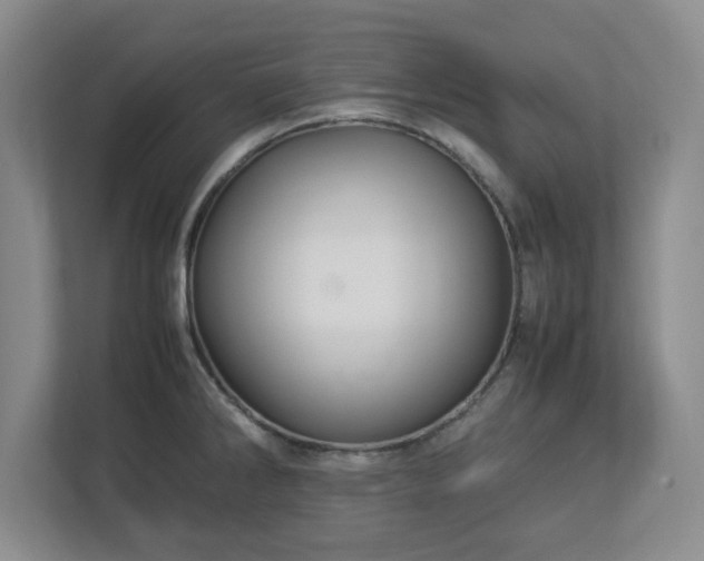 X0000113071286200909041050