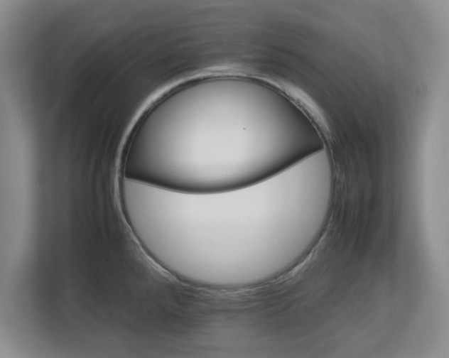 X0000113071288200909041050