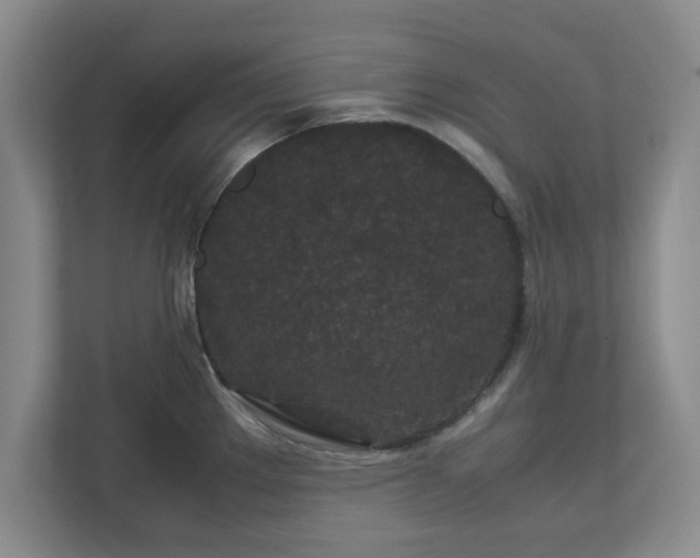 X0000113071289200909041050