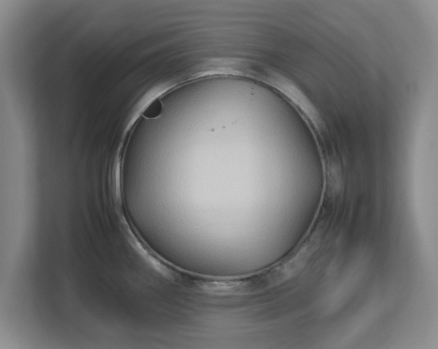 X0000113071290200909041050