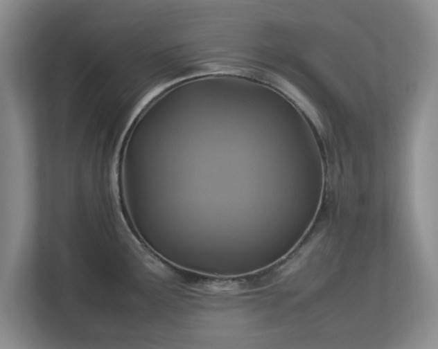 X0000113071291200909041050