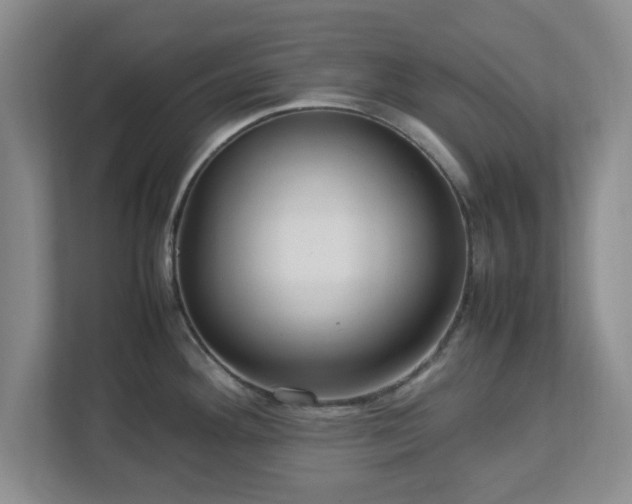 X0000113071292200909041050