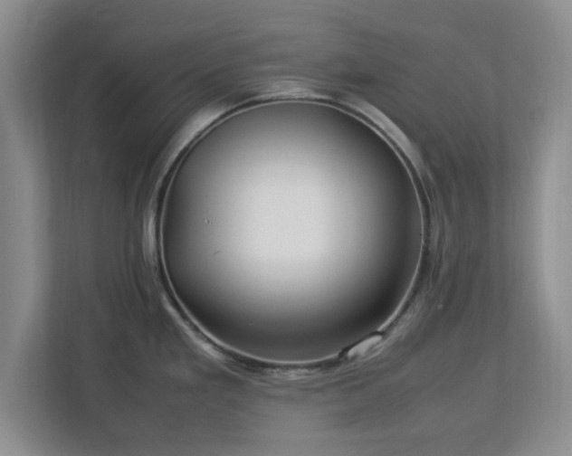 X0000113071293200909041050