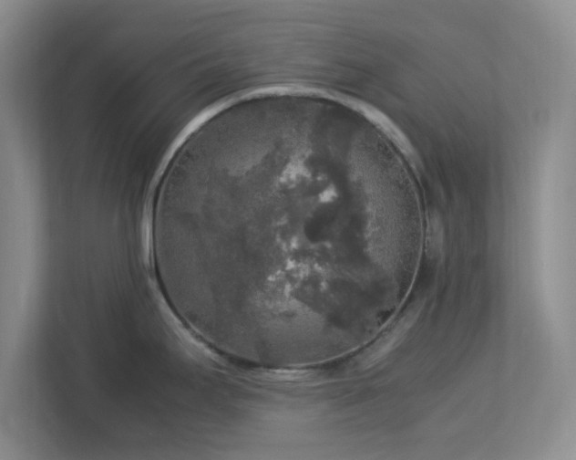 X0000113071295200909041050