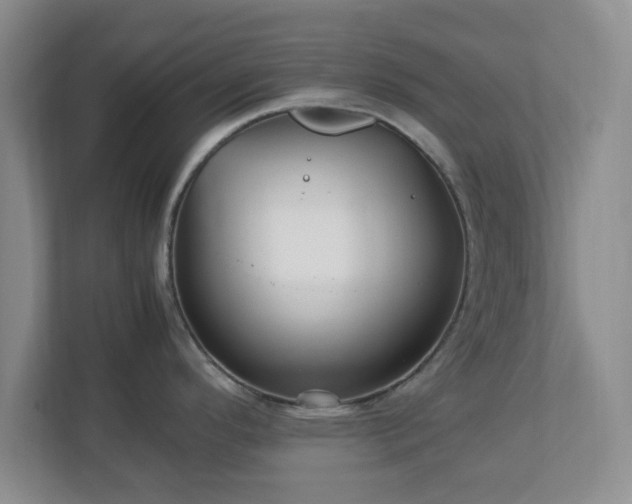 X0000113071296200909041050