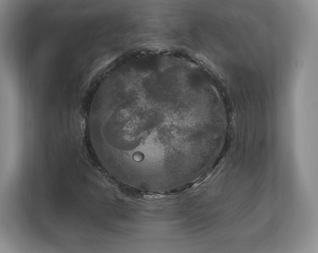 X0000113071302200909041050