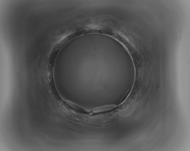 X0000113071303200909041050