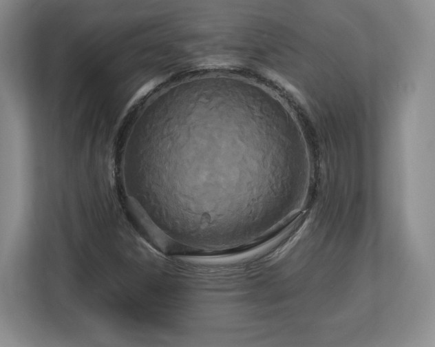 X0000113071306200909041050