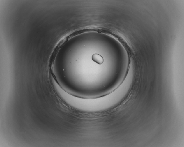 X0000113071308200909041050