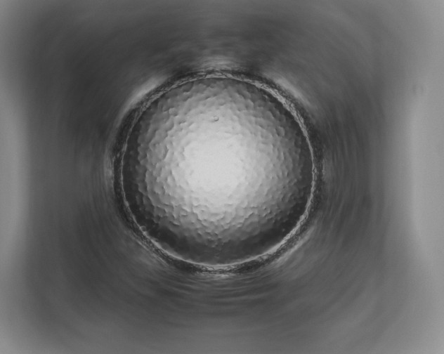 X0000113071309200909041050