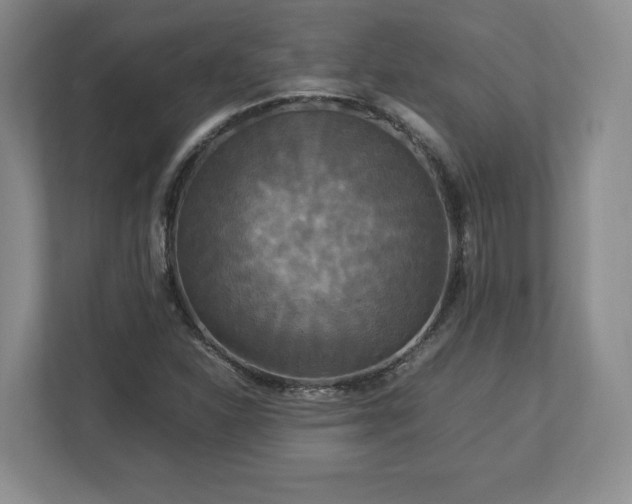 X0000113071310200909041050