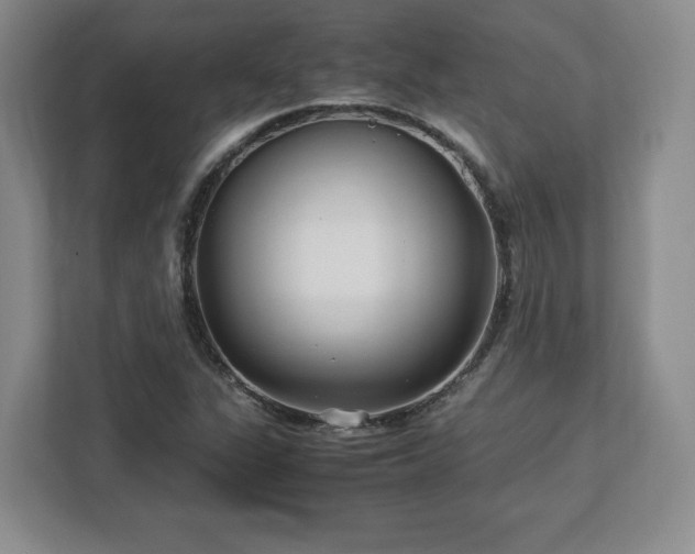 X0000113071311200909041050