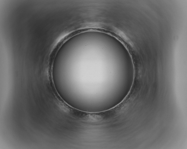 X0000113071312200909041050