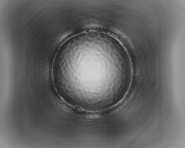 X0000113071313200909041050