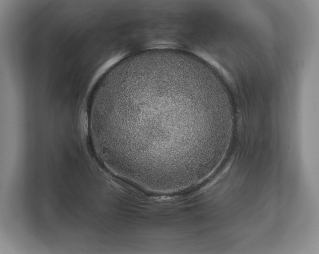 X0000113071317200909041050