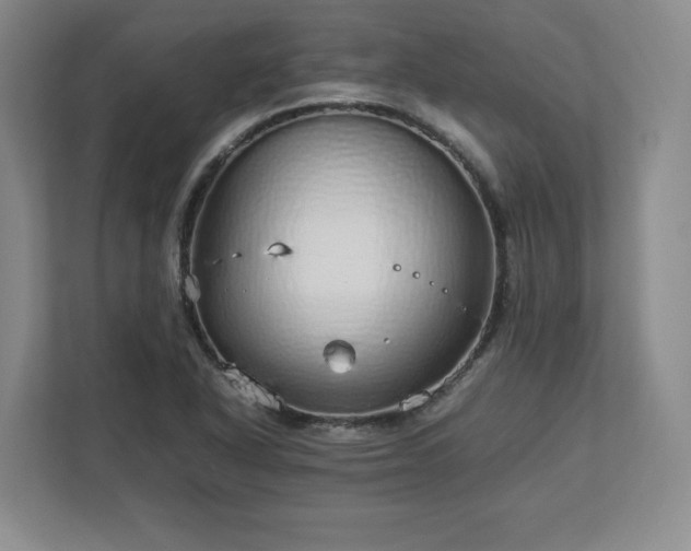 X0000113071318200909041050