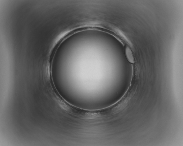 X0000113071320200909041050