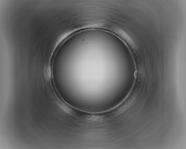 X0000113071324200909041050