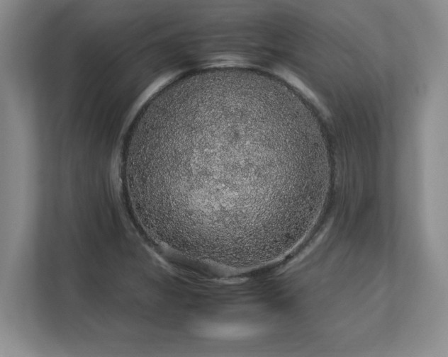 X0000113071325200909041050