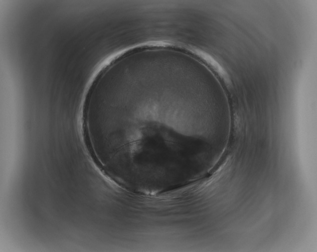 X0000113071327200909041050