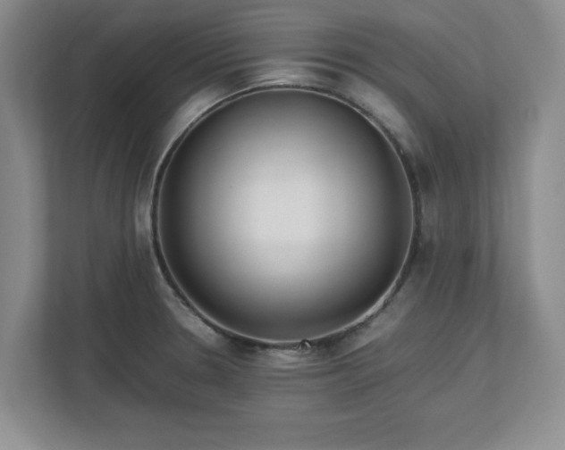 X0000113071330200909041050