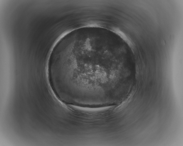 X0000113071331200909041050