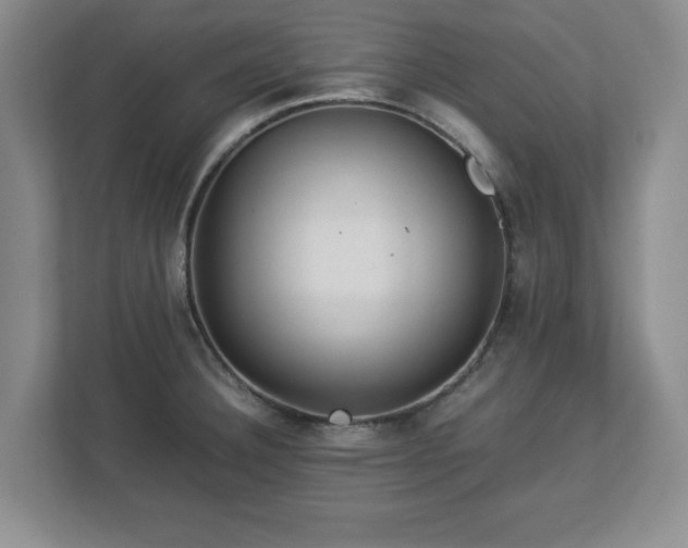 X0000113071332200909041050