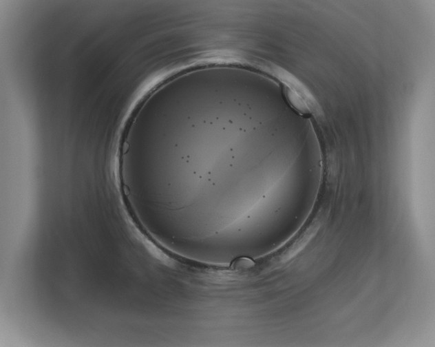 X0000113071334200909041050