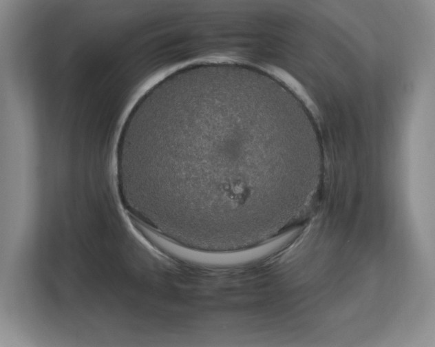 X0000113071335200909041050