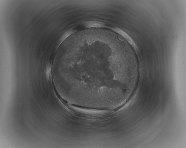 X0000113071337200909041050