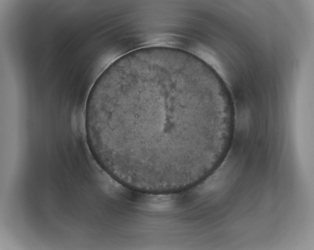 X0000113071338200909041050