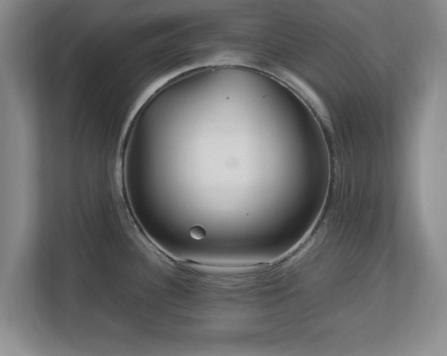 X0000113071340200909041050