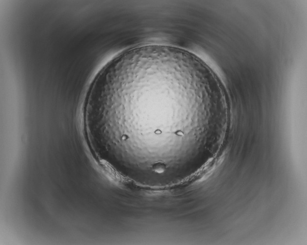 X0000113071341200909041050