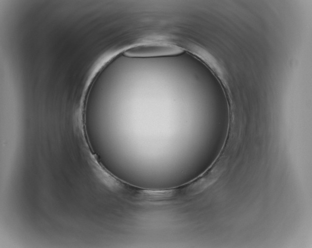 X0000113071344200909041050