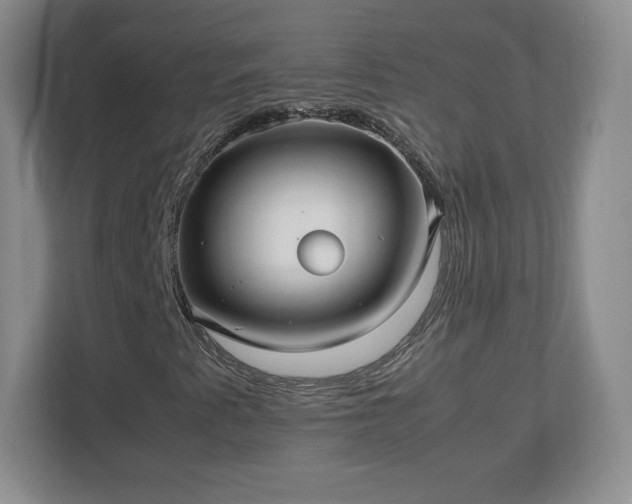 X0000113071345200909041049