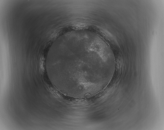 X0000113071346200909041049