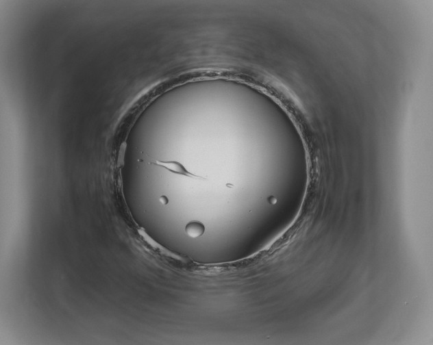 X0000113071352200909041049