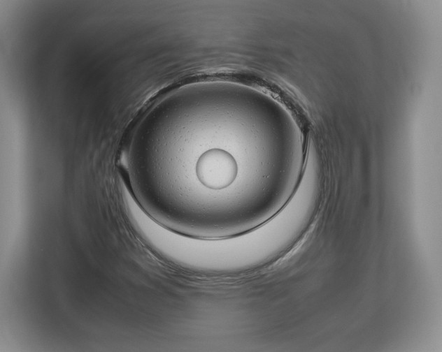 X0000113071353200909041049