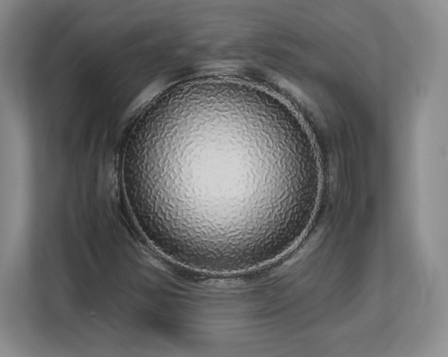 X0000113071354200909041049