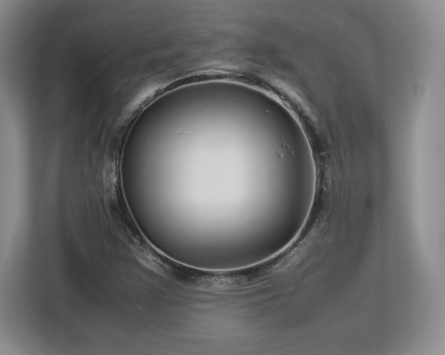 X0000113071355200909041049