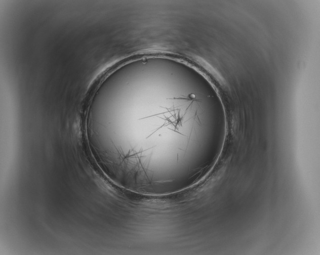 X0000113071356200909041049