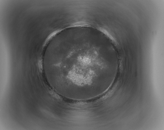 X0000113071358200909041049