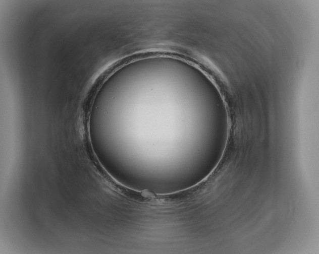 X0000113071360200909041049