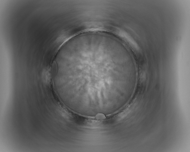 X0000113071361200909041049