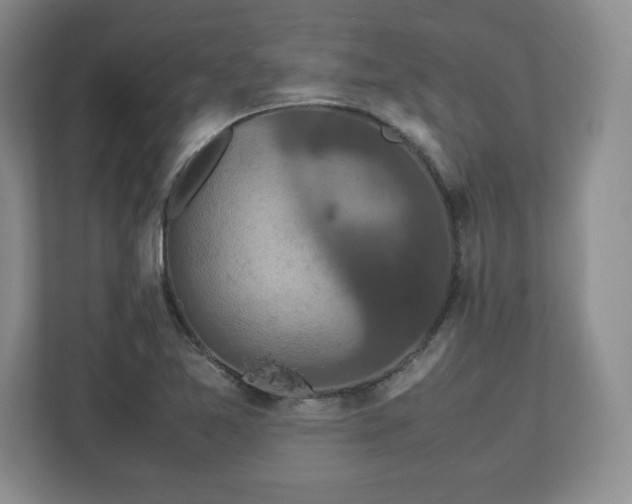 X0000113071365200909041049