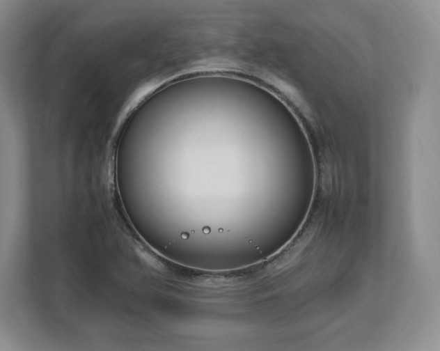 X0000113071366200909041049